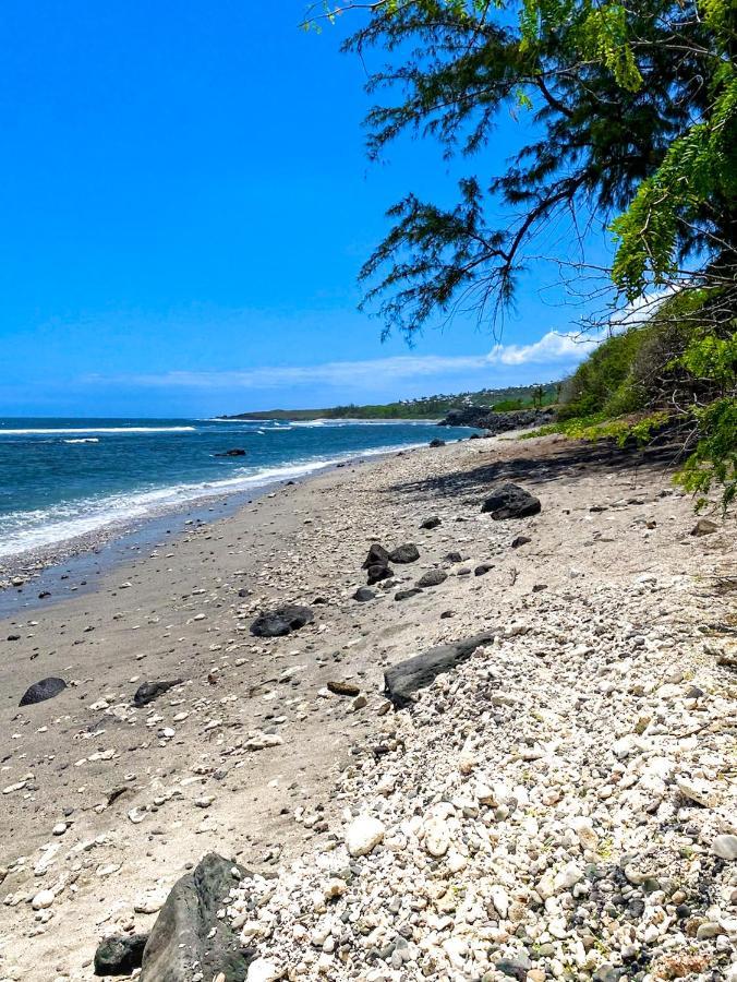 Le Petrel Bleu - Appartement Sur La Plage Des Tortues A Сен-Лё Экстерьер фото